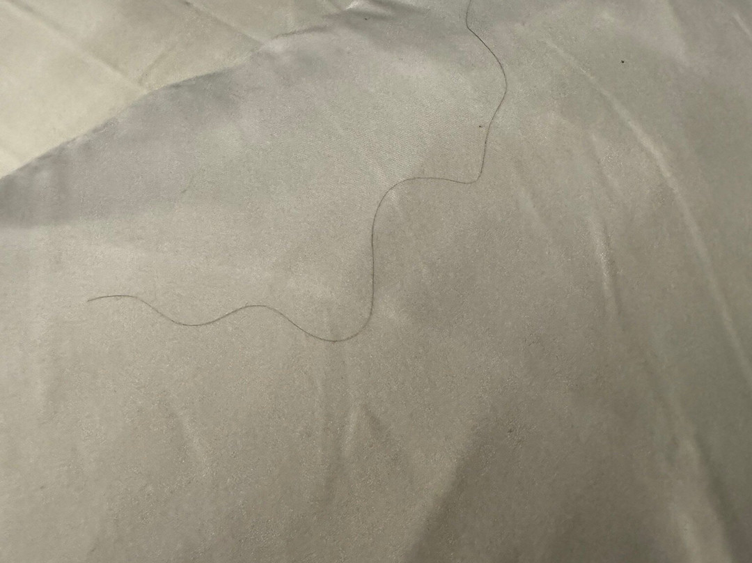 Chicago Marriott Schaumburg主图