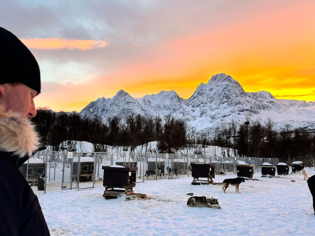Lyngen Husky Safari-Svensby必去景点