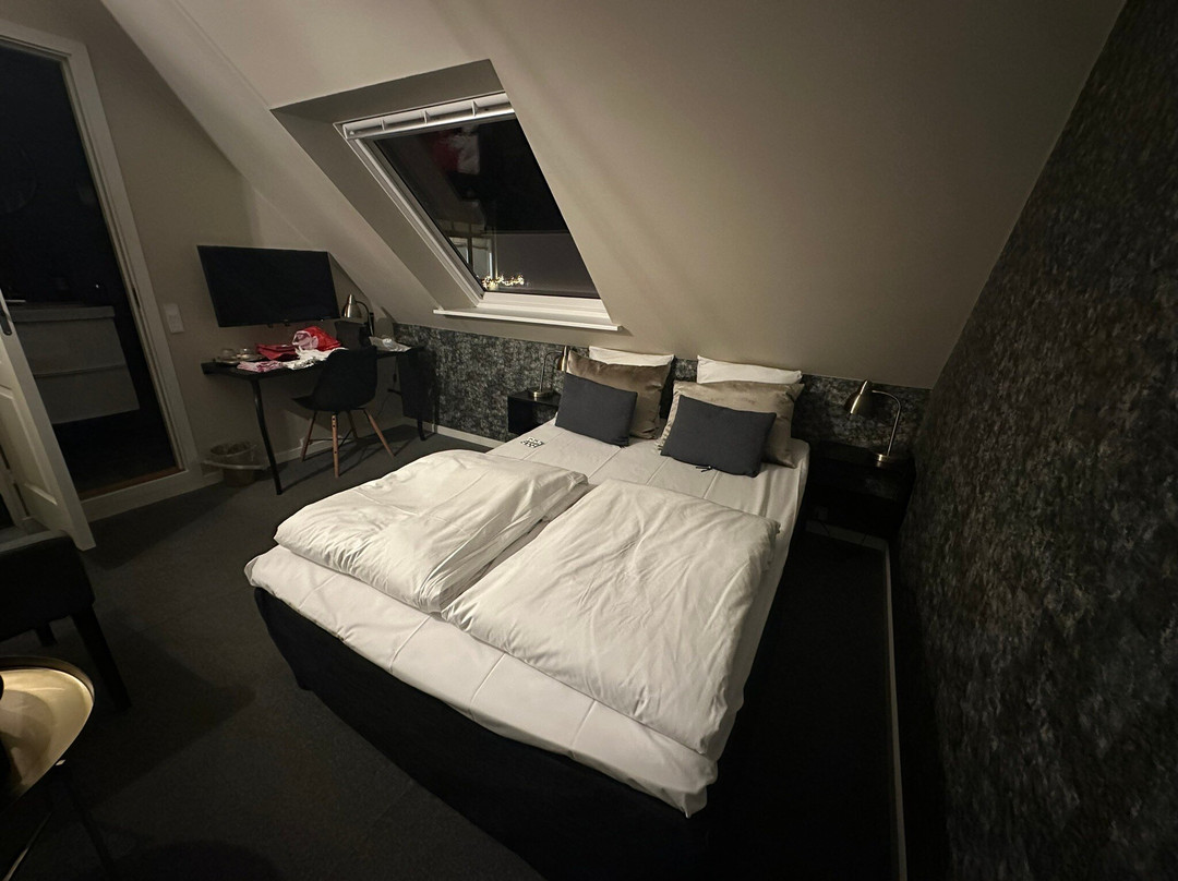 Skjalm Hvide Hotel主图