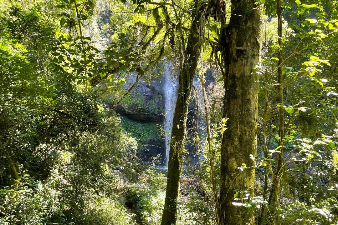 Cascata da Baleia-Ilopolis必去景点
