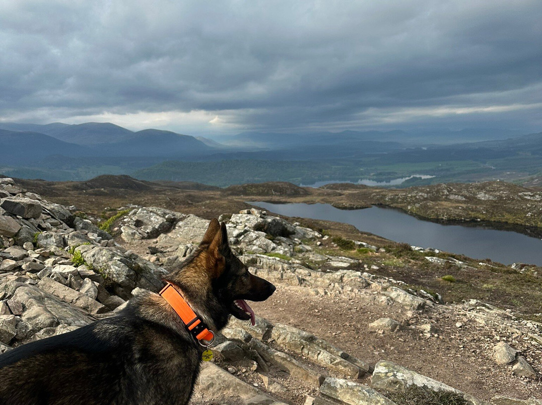 Craigellachie National Nature Reserve-阿维莫尔必去景点