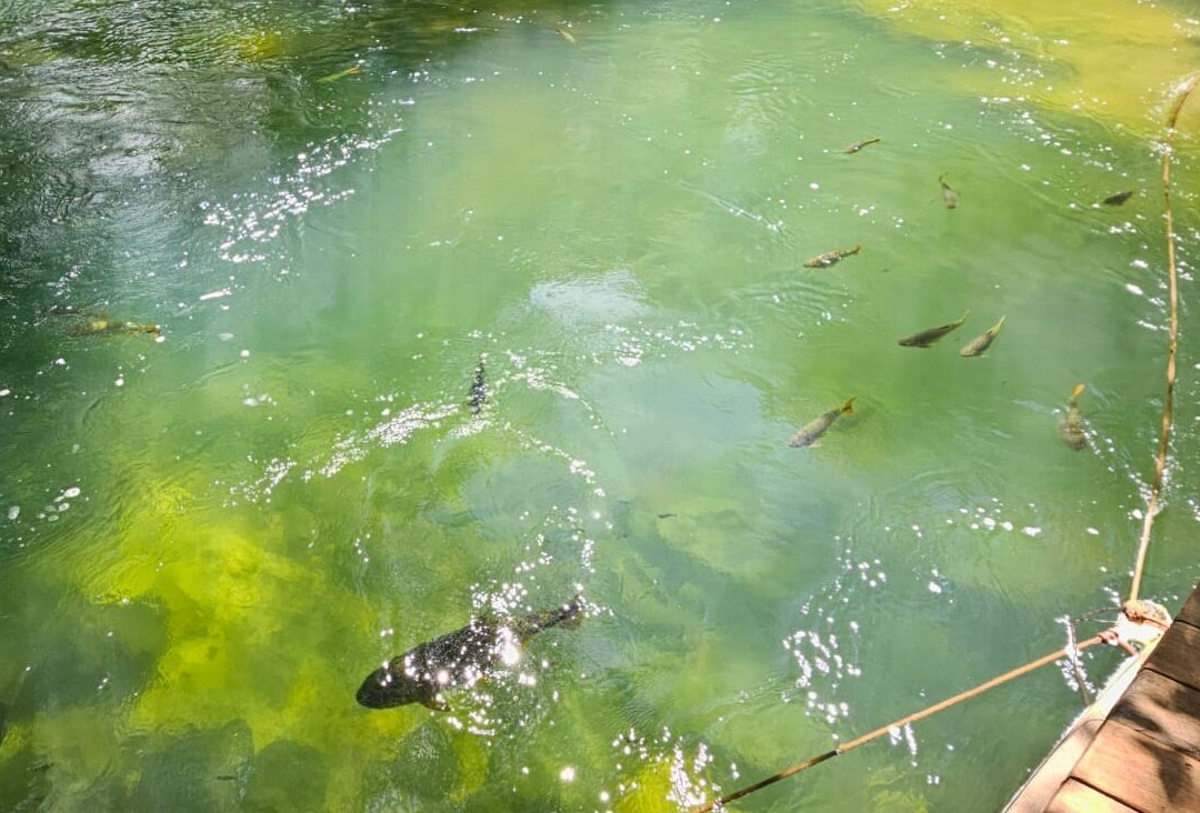 Eco Park Porto Da Ilha-博尼图必去景点