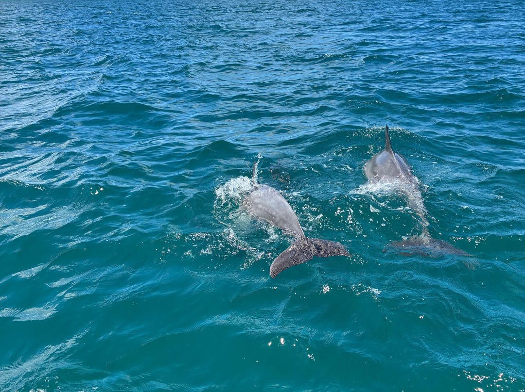 Belinda Boat Tour-贝尔马尔必去景点