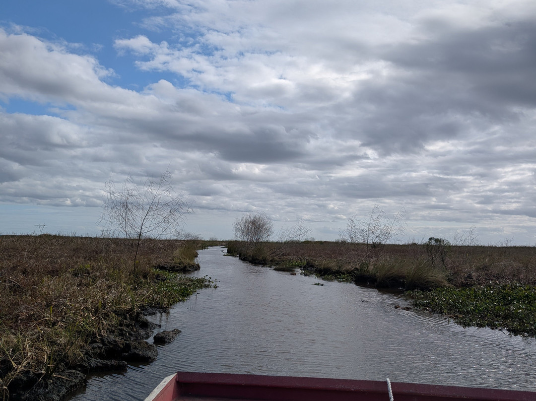 New Orleans Airboat Tours-Marrero必去景点