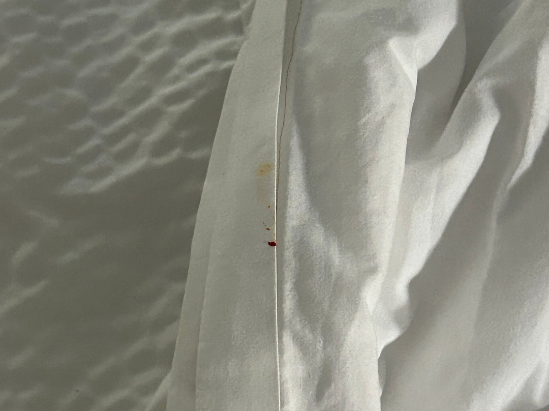 Baymont by Wyndham Moss Point主图