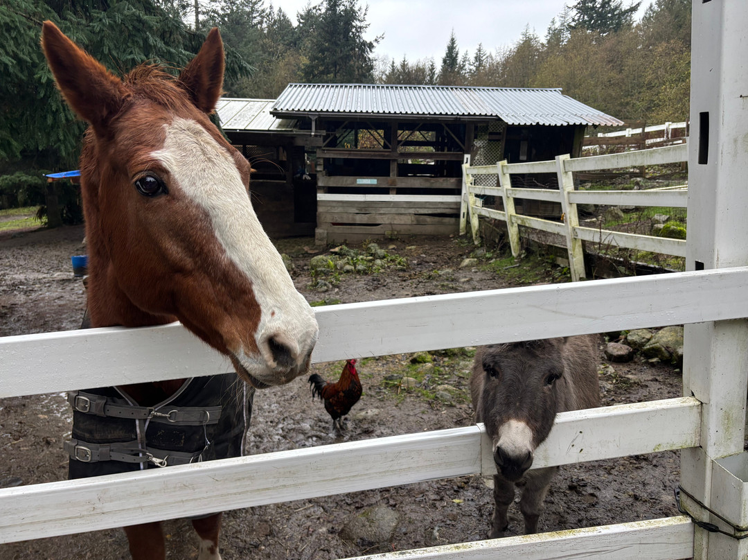 Farm Ventures-Roberts Creek必去景点