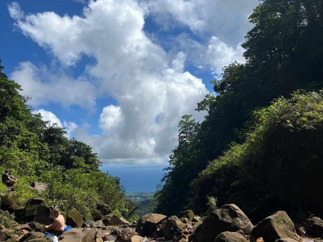 Carbet Falls (Les Chutes du Carbet)-Parc National必去景点