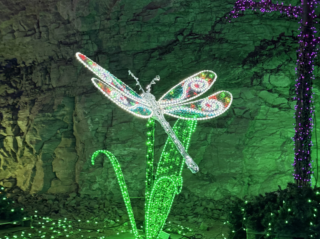 路易斯维尔巨洞-路易斯维尔必去景点