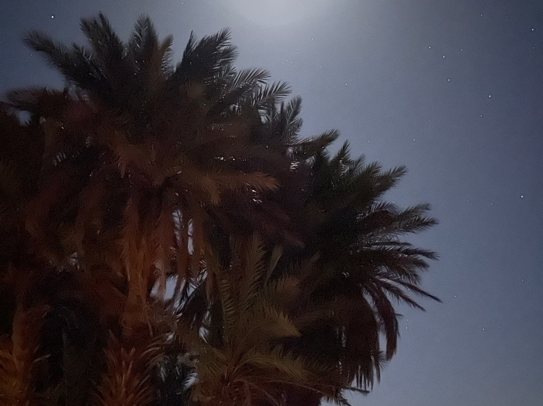 Adventures Desert-迈哈米德必去景点