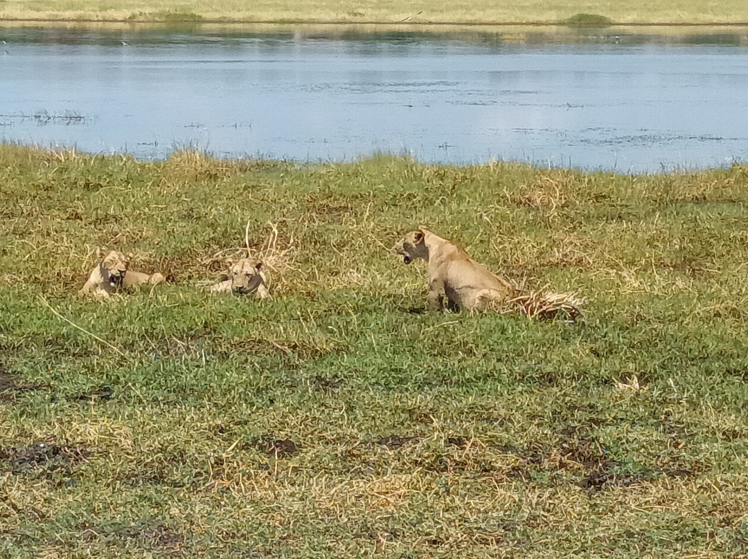 Tanzania Specialist-阿鲁沙必去景点
