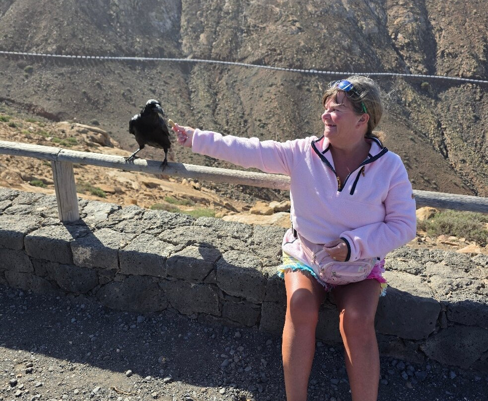 Cool Runnings-Caleta de Fuste必去景点