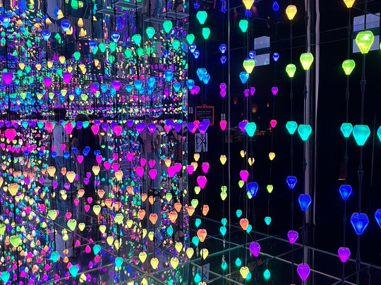 Neonia-波尔图必去景点