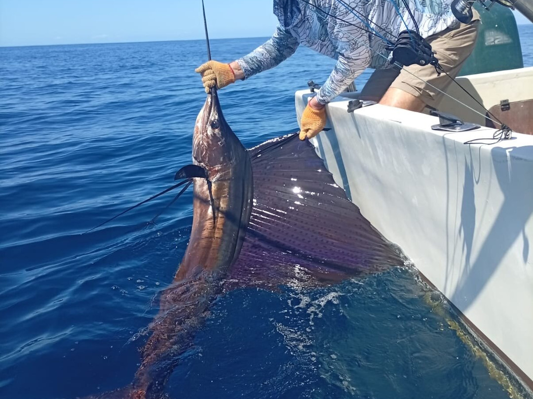 Sea Star CR Sport Fishing and Adventure Tours-Area de Conservacion Guanacaste必去景点