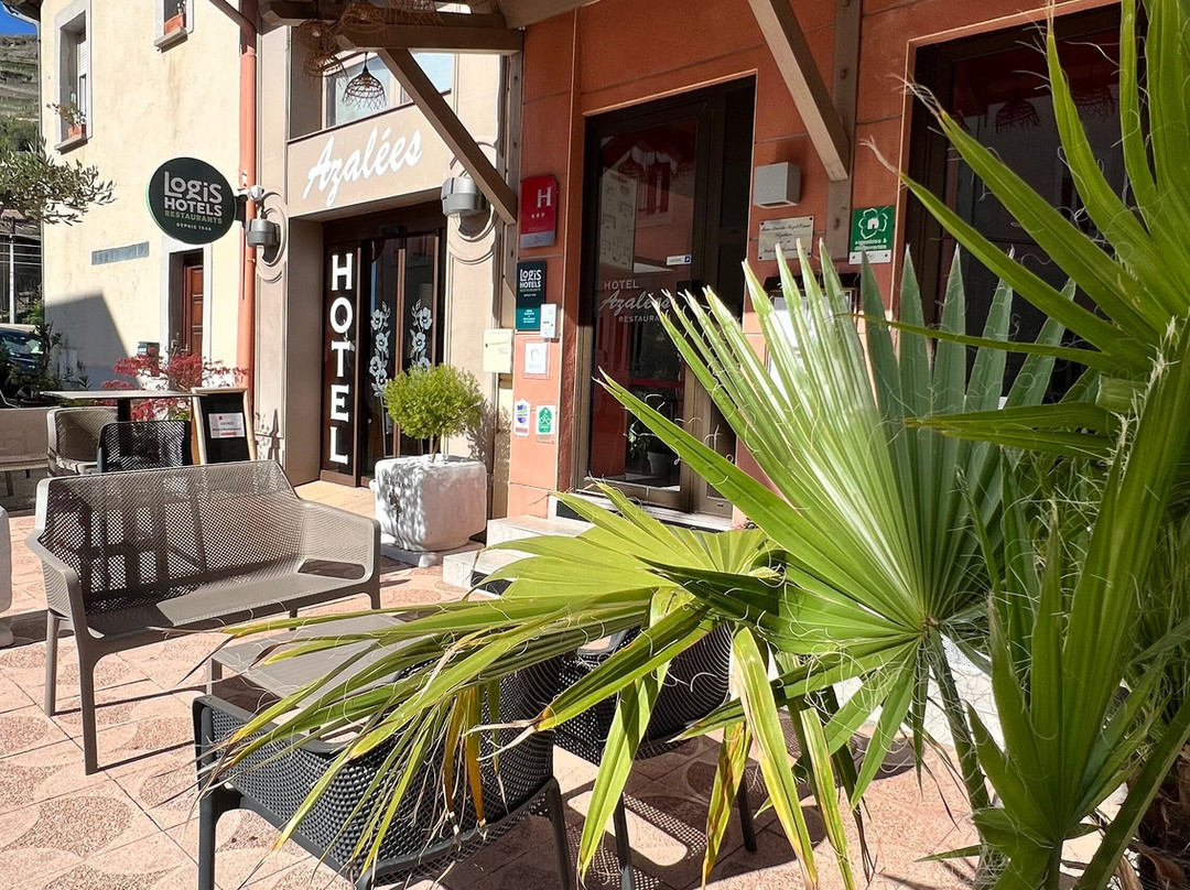 Logis Hôtel Azalées主图