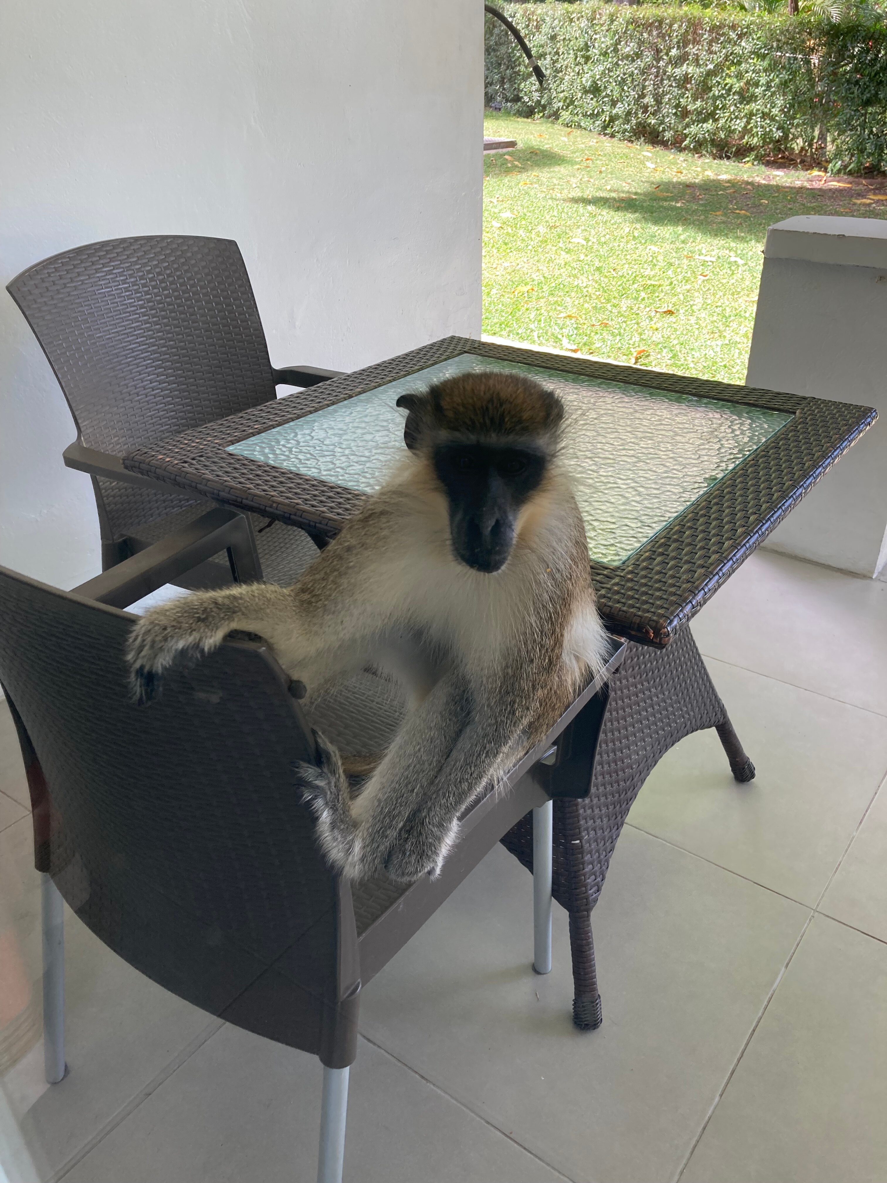 All Seasons Resort Europa-官方