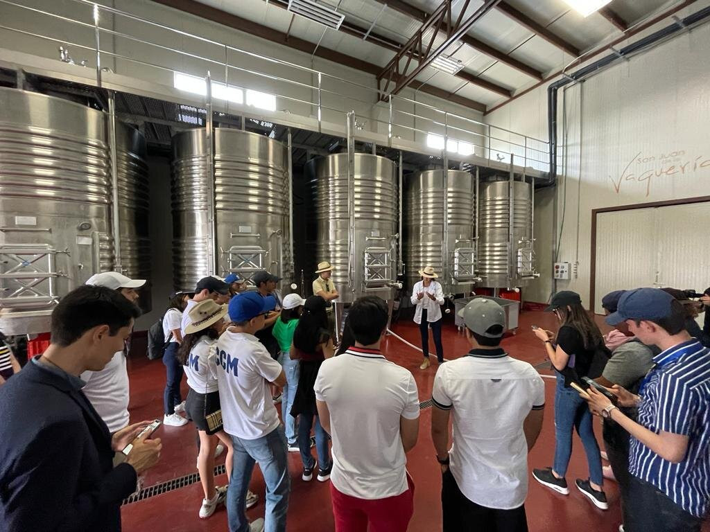 Viñedo San Juan De La Vaqueria-萨尔蒂必去景点