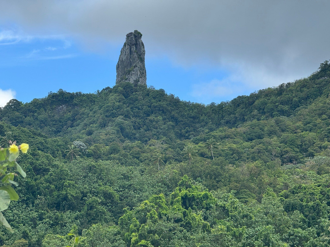Raro Mountain Safari Tour-拉罗汤加必去景点