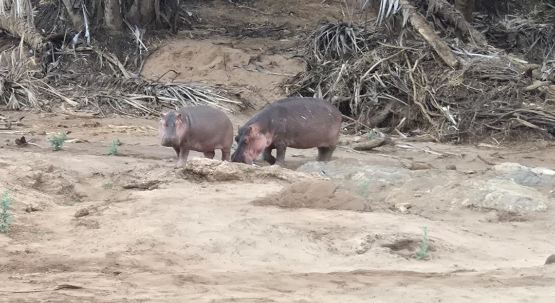 LadyM Safaris-蒙巴萨必去景点