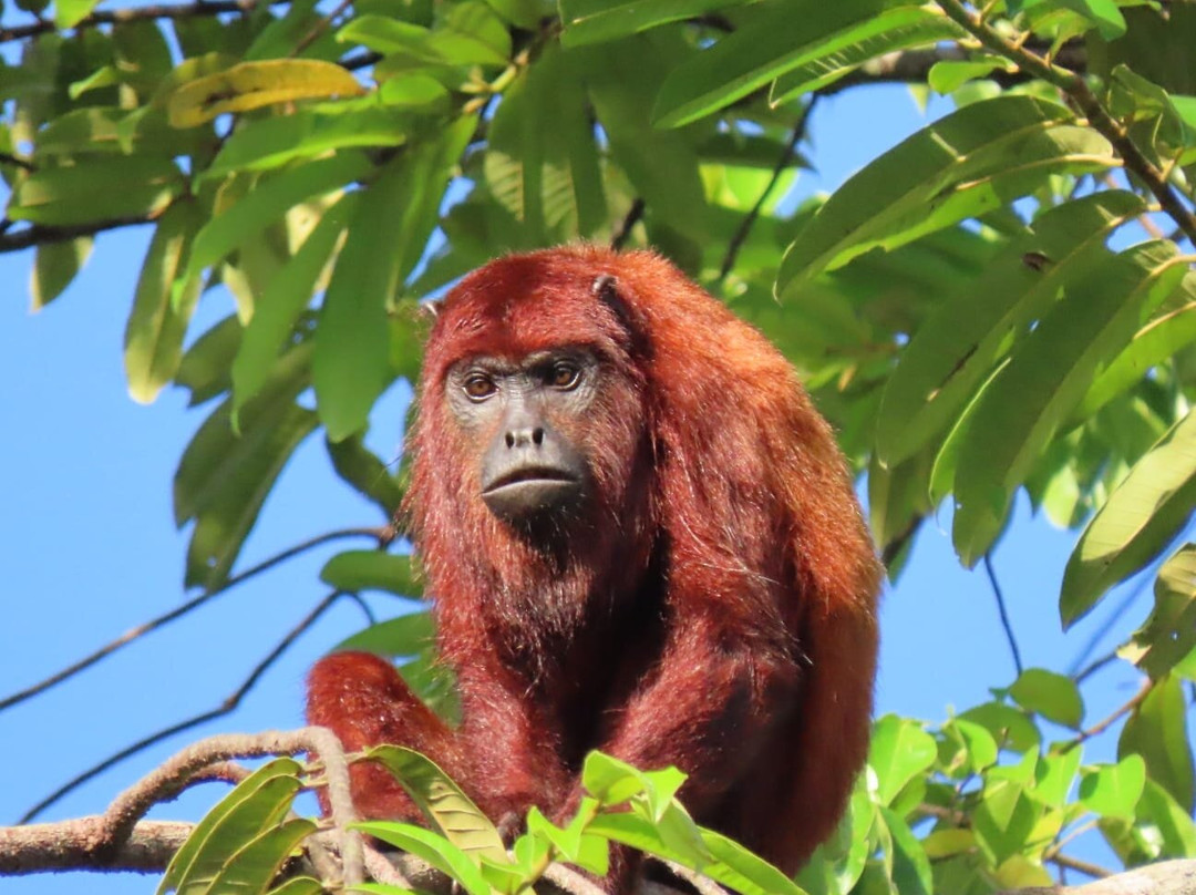 Osprey Expeditions-卡奈玛国家公园必去景点