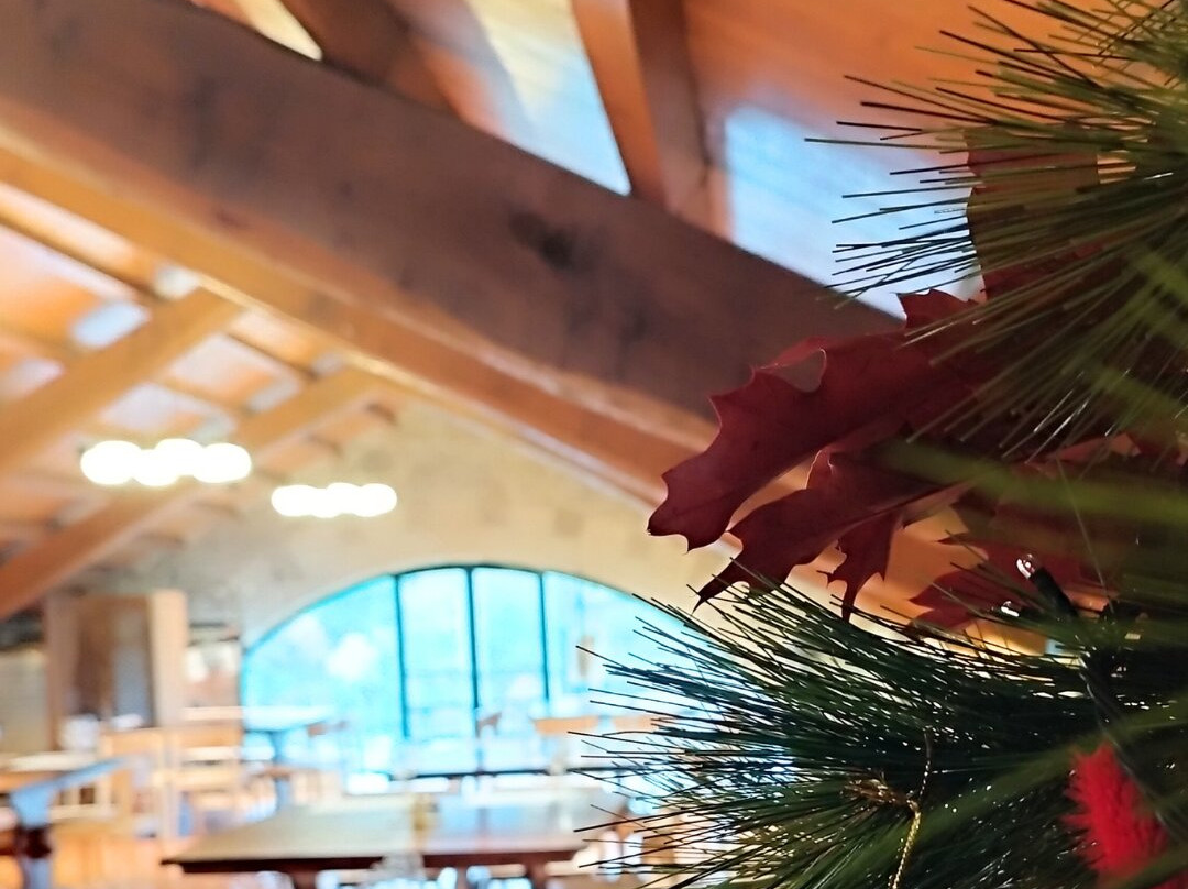 Via Romana Adegas e Vinedos-Chantada必去景点