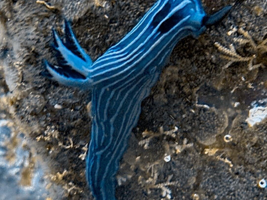 Galapagos Fun Dive-Puerto Baquerizo Moreno必去景点