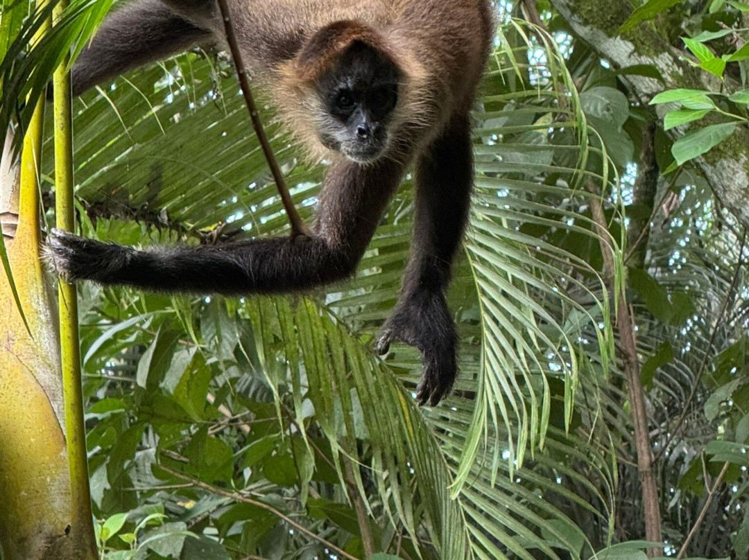 Aracari Garden Hostel主图