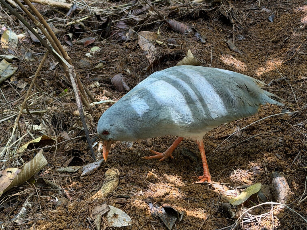 Fernando Tourisme-努美阿必去景点