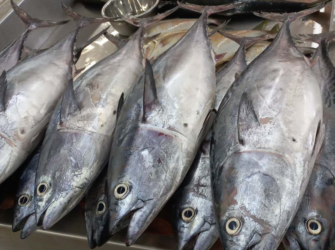 Mutrah Fish Market-马斯喀特必去景点