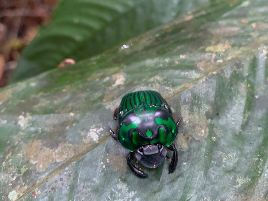 Colombia Remote Adventures-莱蒂西亚必去景点