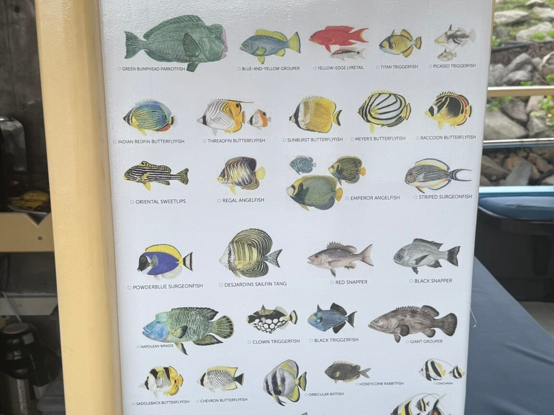 Oceanika Diving Club-伊甸岛必去景点