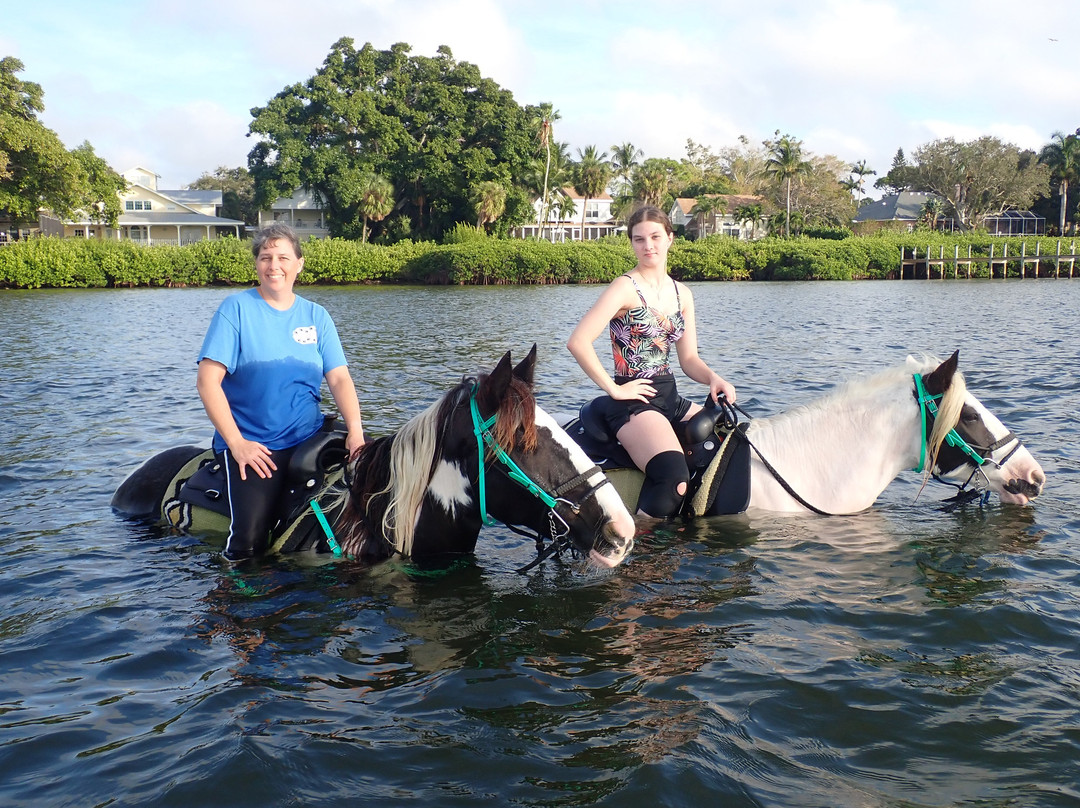 C Ponies Beach Horseback Rides-布雷登顿必去景点