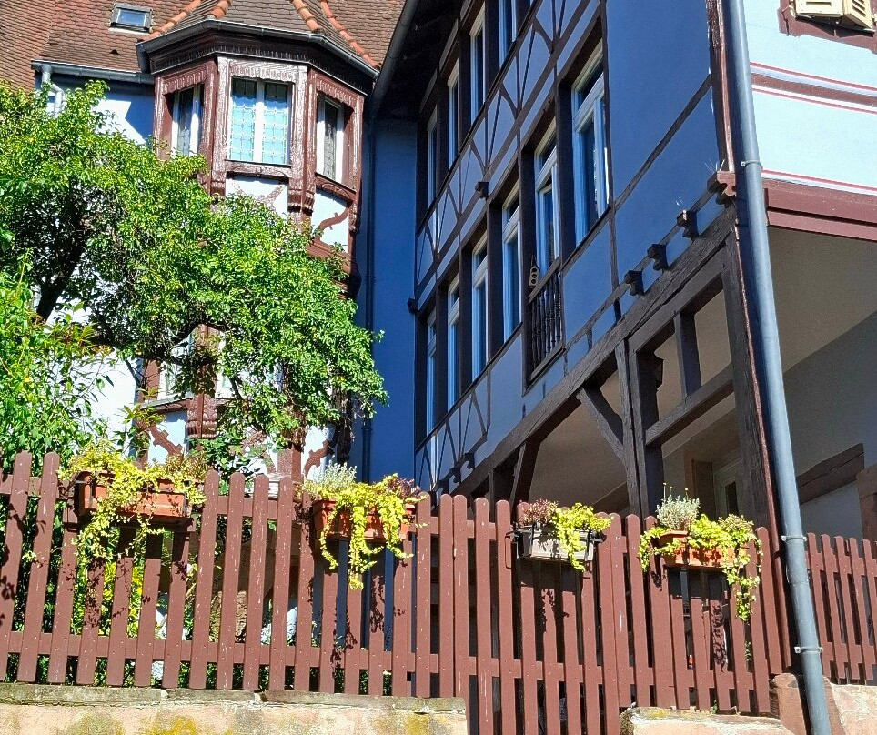 Barque Colmar "au fil de l’eau" - Sweet Narcisse-科尔马必去景点