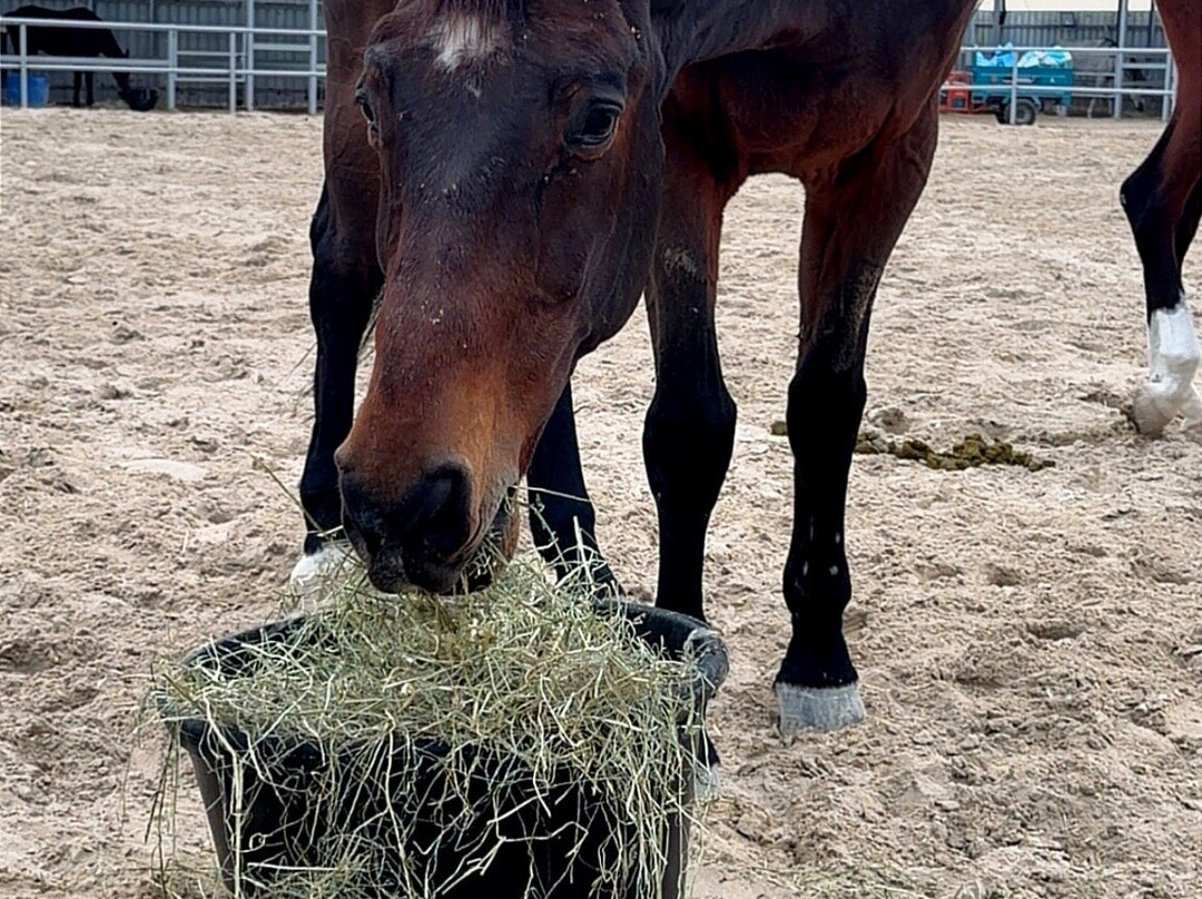 Almarbat-Mesaieed必去景点