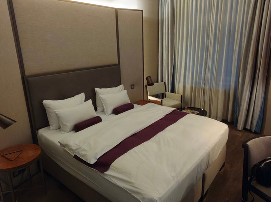 布拉格徽章酒店主图