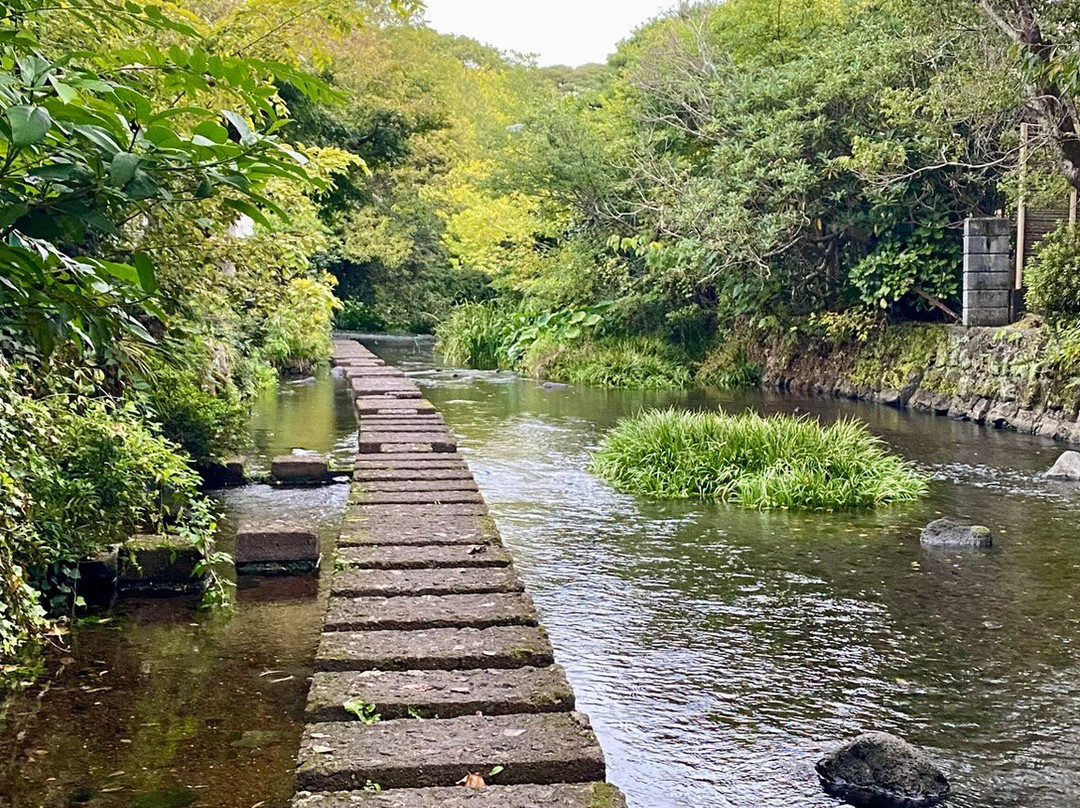 Gempeigawa River-三岛市必去景点