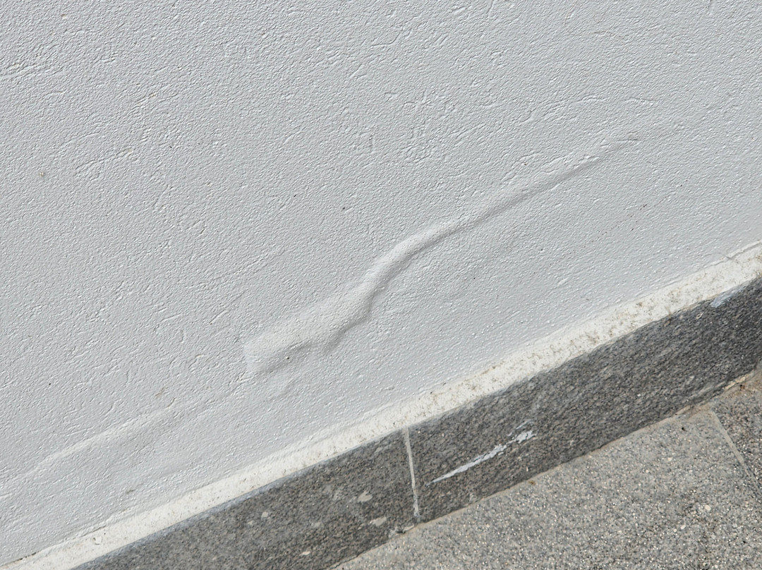 Hotel Nuevo Ostende by Bund主图