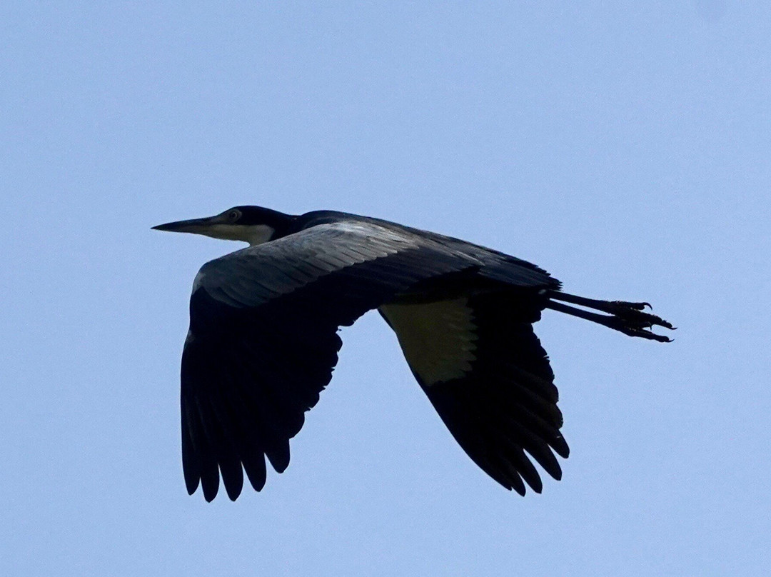 Beyond the Gorillas Experience-Ruhengeri必去景点