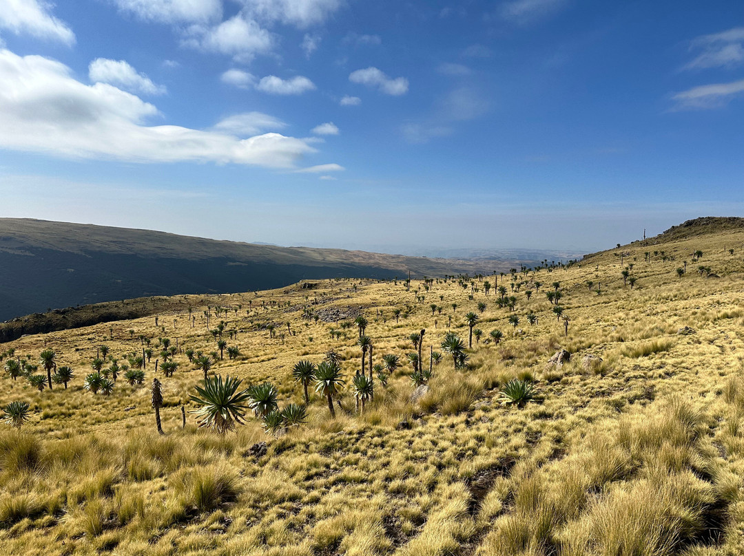 Simien Ethiopia Trekking by TAZ-Debark必去景点
