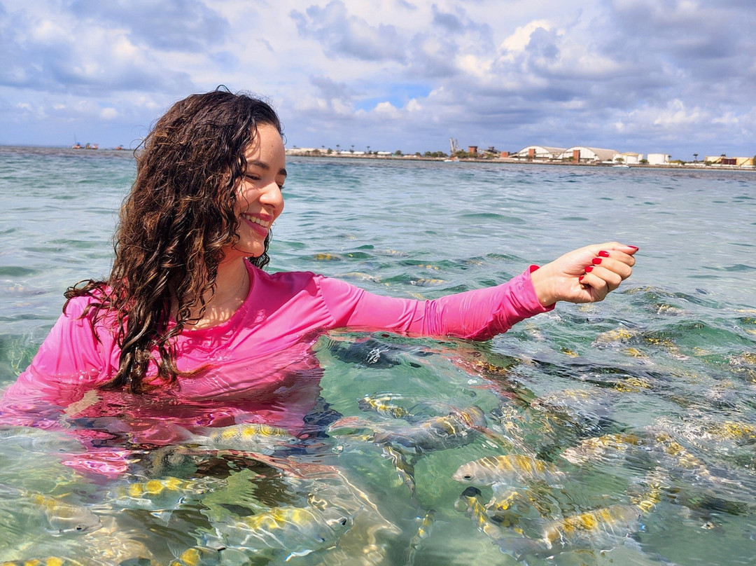 Piscinas Naturais De Pajucara-Maceio必去景点