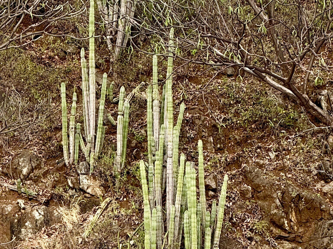 Panache Sailing-Playa Flamingo必去景点