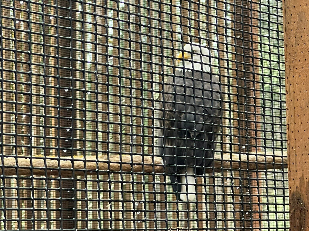 卡斯卡底猛禽中心-尤金必去景点