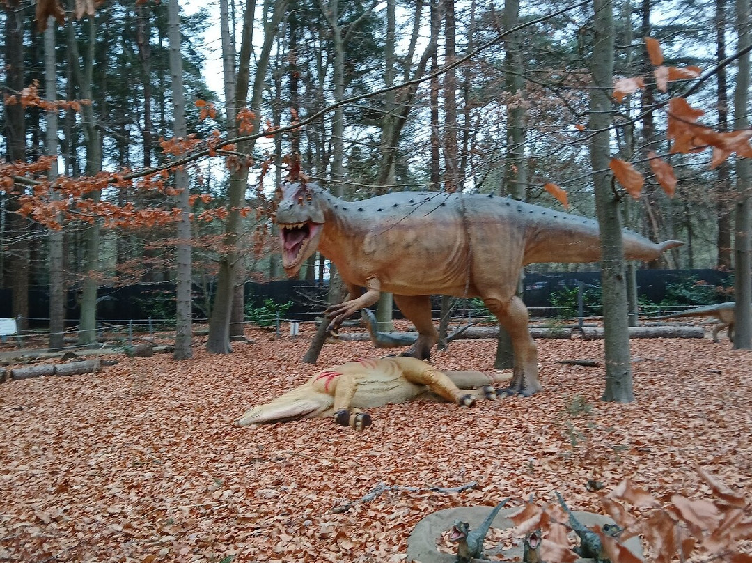 Het Oertijdmuseum-Boxtel必去景点