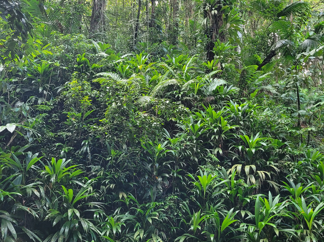 Hans Tours-斯卡伯勒必去景点