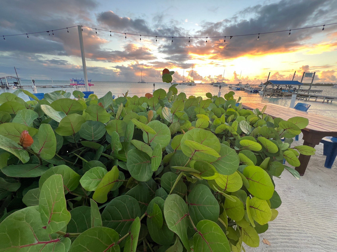 TMM Yacht Charters-Road Town必去景点