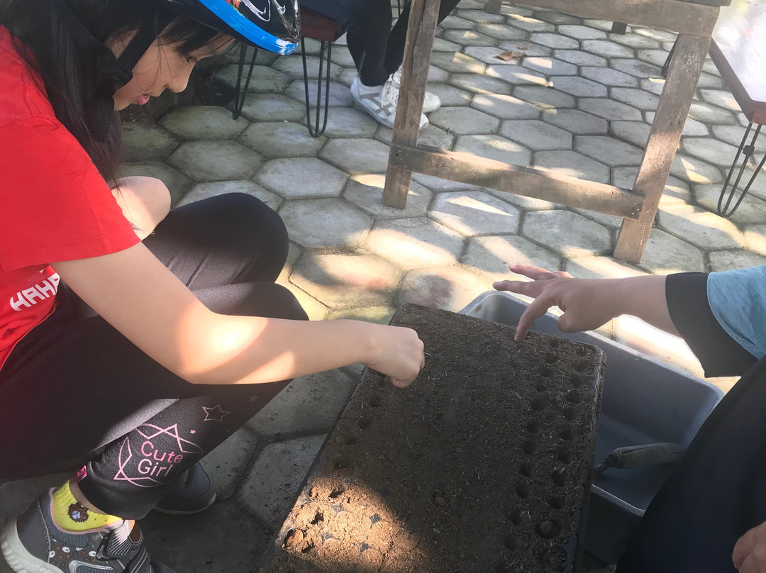 Moana - Sustainable Bicycle Tour-Yogyakarta必去景点