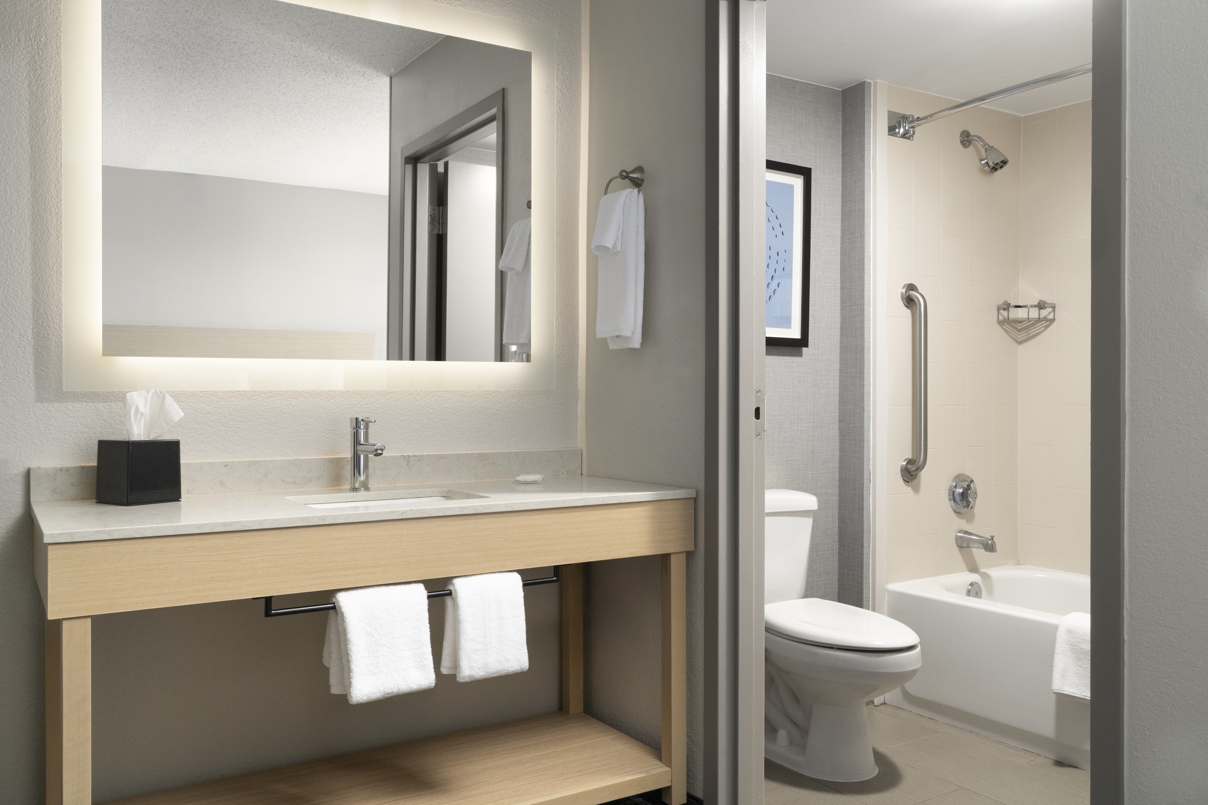 Hyatt Select Richmond / Chester-浴室