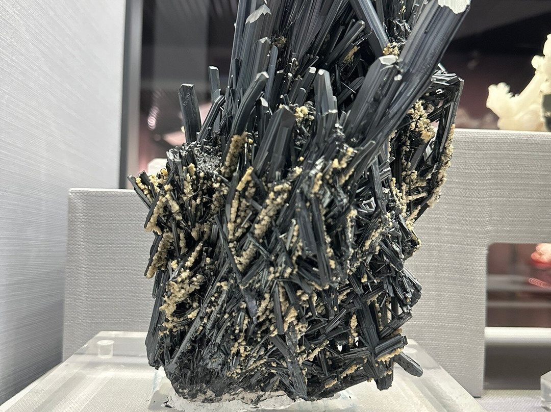 湖南省地质博物馆-长沙市必去景点