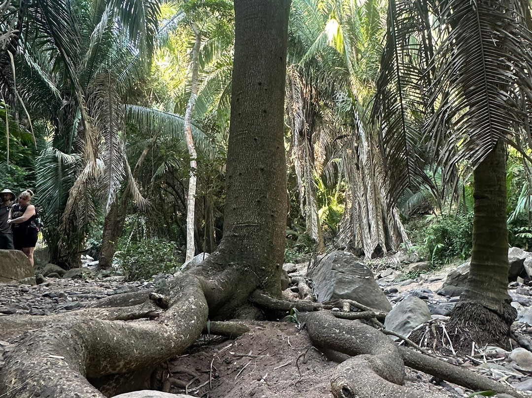Mystic Embrace-Chacala必去景点