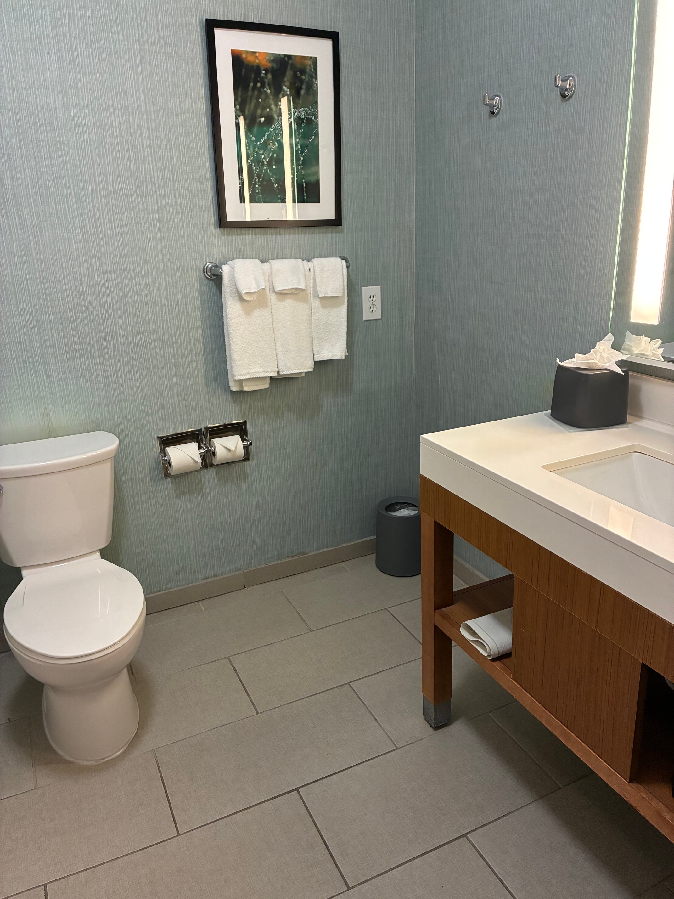 Hampton Inn And Suites Savannah-airport-浴室