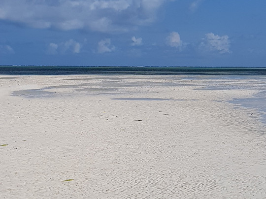 Samuel Safari Kenya-瓦塔木必去景点